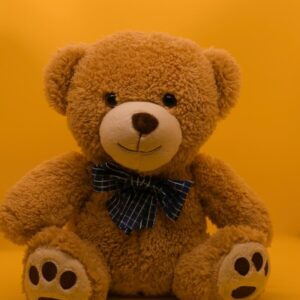 brown teddy bear with black and white bow tie